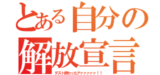 とある自分の解放宣言（テスト終わったアァァァァァ！！）