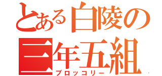 とある白陵の三年五組（ブロッコリー）