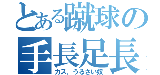 とある蹴球の手長足長族（カス、うるさい奴）