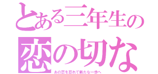 とある三年生の恋の切なさ（あの恋を忘れて新たな一歩へ）