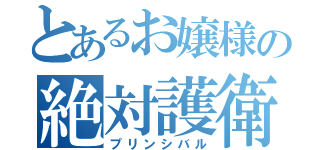 とあるお嬢様の絶対護衛（プリンシバル）