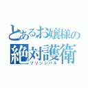 とあるお嬢様の絶対護衛（プリンシバル）