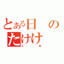 とある日のたけけ（いぬ）