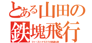 とある山田の鉄塊飛行（ファーストクラスでの快適な旅）