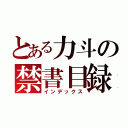 とある力斗の禁書目録（インデックス）