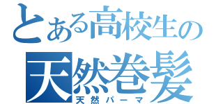 とある高校生の天然巻髪（天然パーマ）