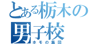 とある栃木の男子校（ホモの集団）