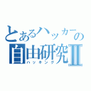 とあるハッカーの自由研究Ⅱ（ハッキング）