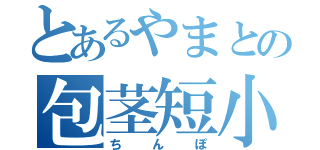 とあるやまとの包茎短小２ｍｍ砲（ちんぽ）