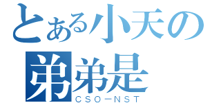 とある小天の弟弟是（ＣＳＯ－ＮＳＴ）