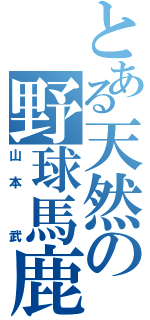 とある天然の野球馬鹿（山本 武）