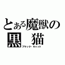 とある魔獣の黒　猫（ブラック・キャット）