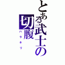 とある武士の切腹（ハラキリ）