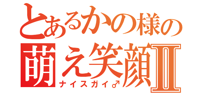 とあるかの様の萌え笑顔Ⅱ（ナイスガイ♂）