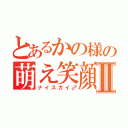 とあるかの様の萌え笑顔Ⅱ（ナイスガイ♂）