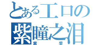 とある工口の紫瞳之泪（紫受）