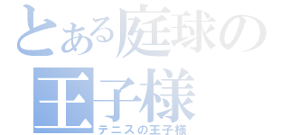 とある庭球の王子様（テニスの王子様）