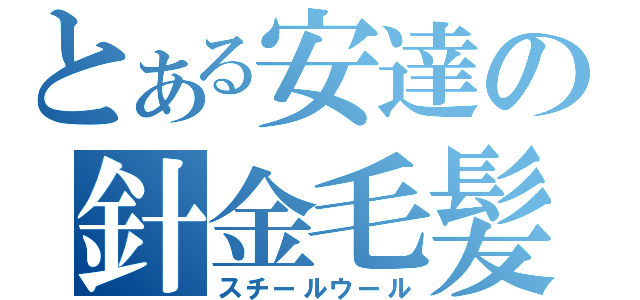 とある安達の針金毛髪（スチールウール）