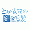 とある安達の針金毛髪（スチールウール）