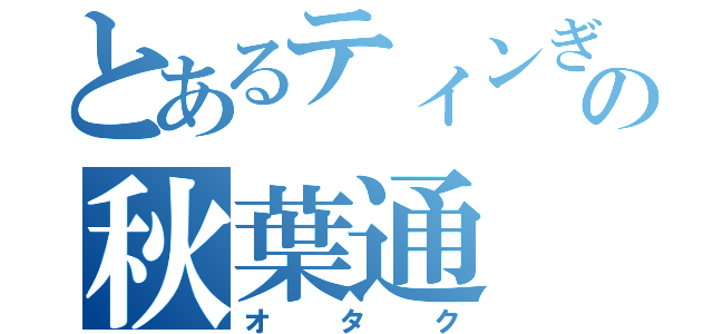 とあるティンぎの秋葉通（オタク）