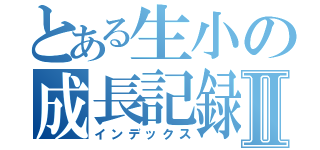 とある生小の成長記録Ⅱ（インデックス）