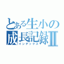 とある生小の成長記録Ⅱ（インデックス）