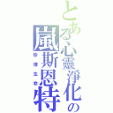 とある心靈淨化の嵐斯恩特Ⅱ（珍惜生命）