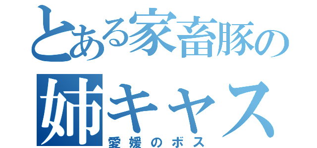 とある家畜豚の姉キャス（愛媛のボス）