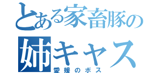 とある家畜豚の姉キャス（愛媛のボス）