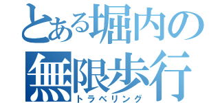 とある堀内の無限歩行（トラベリング）