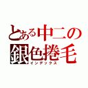 とある中二の銀色捲毛（インデックス）