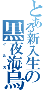 とある新入生の黒夜海鳥（イルカ）