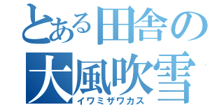 とある田舎の大風吹雪（イワミザワカス）