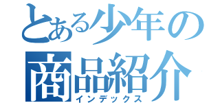 とある少年の商品紹介（インデックス）