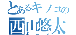 とあるキノコの西山悠太（ポニョ）