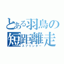 とある羽鳥の短距離走者（スプリンター）