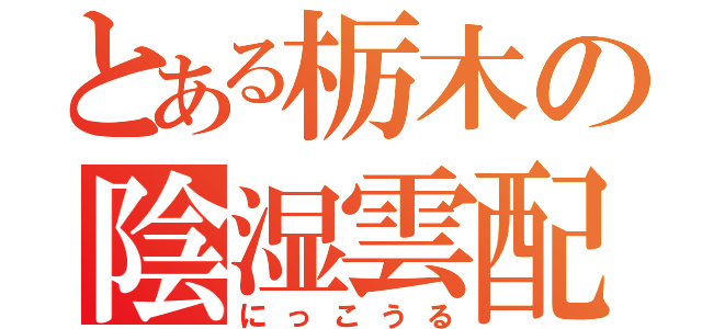 とある栃木の陰湿雲配給（にっこうる）