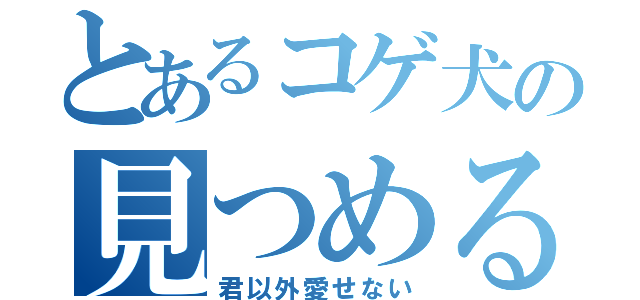 とあるコゲ犬の見つめる（君以外愛せない）