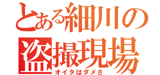 とある細川の盗撮現場（オイタはダメさ）