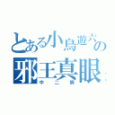 とある小鳥遊六花の邪王真眼（中二病）