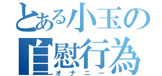 とある小玉の自慰行為（オナニー）