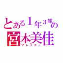 とある１年３組の宮本美佳（ブレイカー）