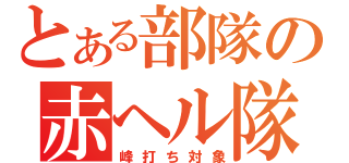 とある部隊の赤ヘル隊長（峰打ち対象）