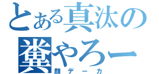 とある真汰の糞やろー（顔デーカ）