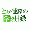 とある毬藻の学校目録（ぶんしゅう）