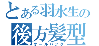 とある羽水生の後方髪型（オールバック）