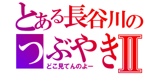 とある長谷川のつぶやきⅡ（どこ見てんのよー）