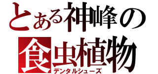 とある神峰の食虫植物（デンタルシューズ）