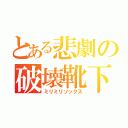 とある悲劇の破壊靴下（ミリミリソックス）