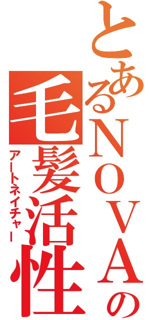 とあるＮＯＶＡの毛髪活性（アートネイチャー）